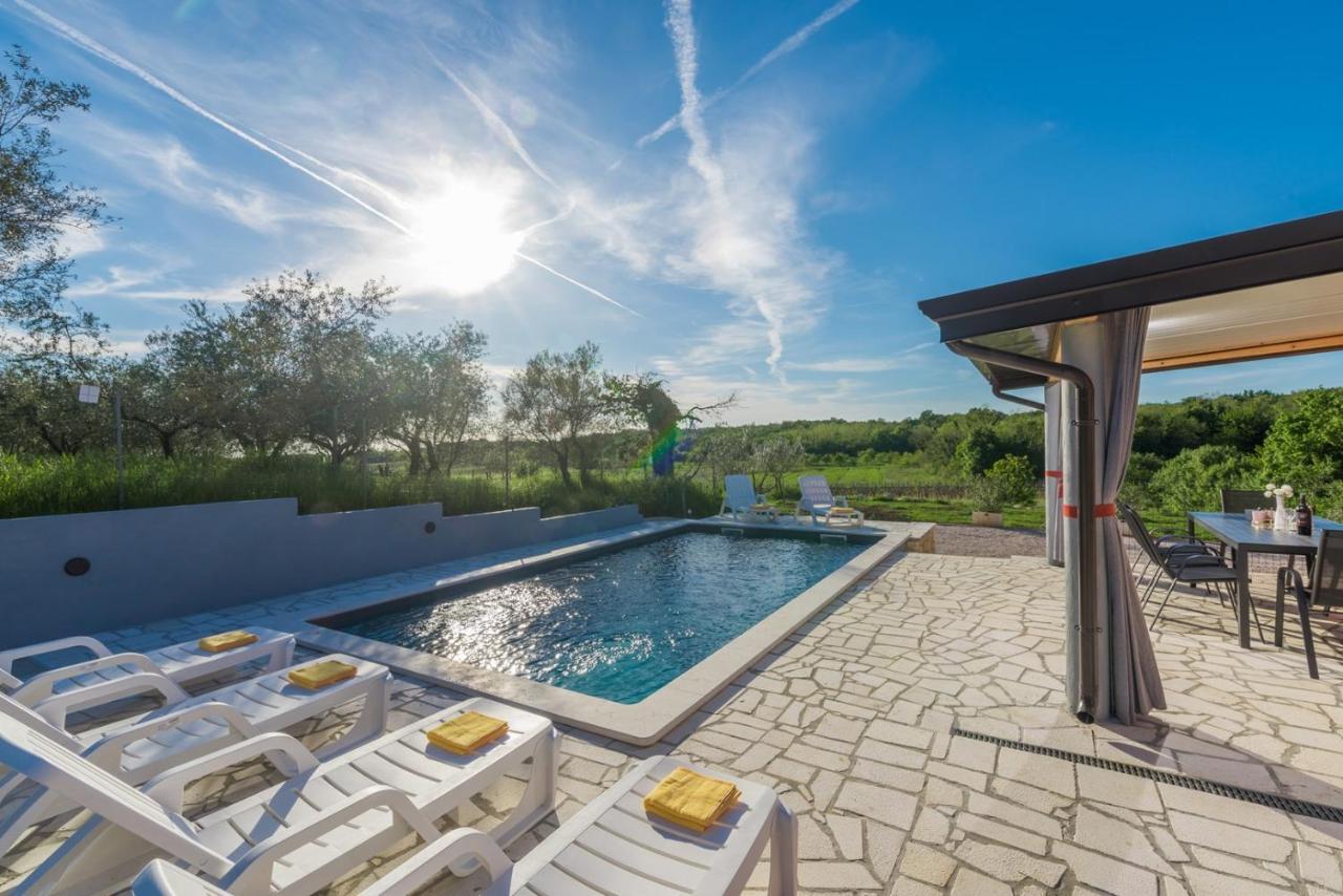 Villa Pendolina With Private Pool Buje Exterior photo